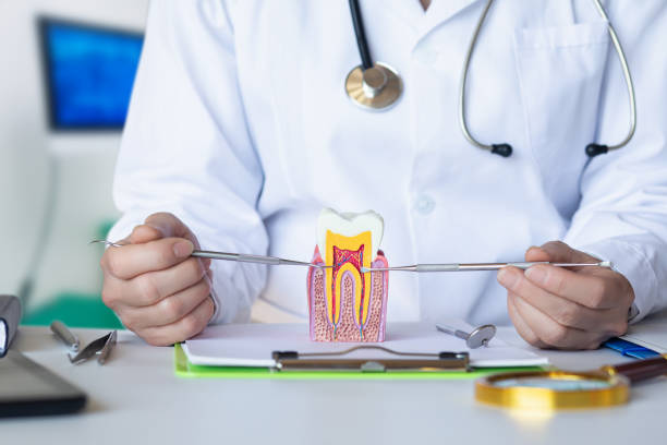 Best Emergency Root Canal Treatment in West Pittston, PA